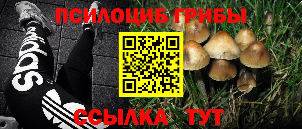 Ростов-на-Дону  Псилоцибиновые грибы MAGIC MUSHROOMS  Вход с VPN  Псилоцибиновые грибы Magic Shrooms 