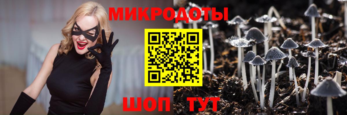 Псилоцибиновые грибы прущие грибы Ростов-на-Дону