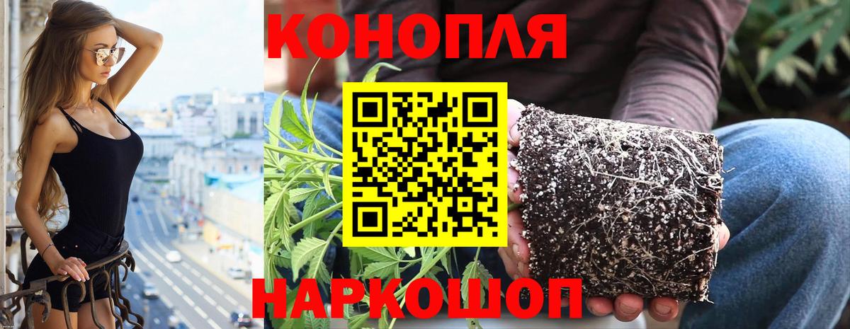 Шишки марихуана Ganja Ростов-на-Дону